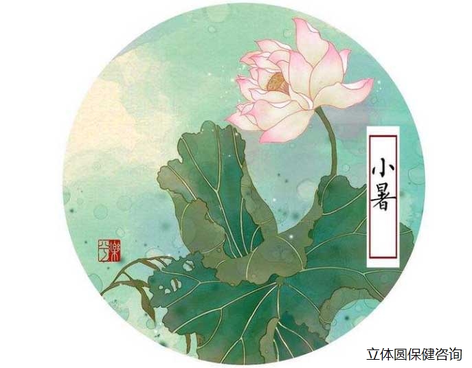 小暑的养生与民俗文化