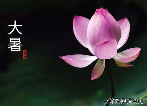 大暑的养生与民俗文化