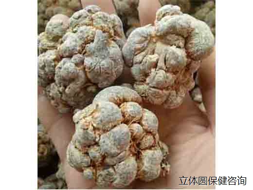 三七（疫情未上架）